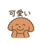 トイプードルななちゃんの毎日スタンプ（個別スタンプ：21）