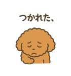 トイプードルななちゃんの毎日スタンプ（個別スタンプ：23）