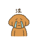 トイプードルななちゃんの毎日スタンプ（個別スタンプ：26）