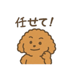 トイプードルななちゃんの毎日スタンプ（個別スタンプ：35）