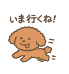 トイプードルななちゃんの毎日スタンプ（個別スタンプ：36）