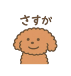 トイプードルななちゃんの毎日スタンプ（個別スタンプ：40）