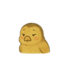 まいにち、どうぶつ。（個別スタンプ：16）