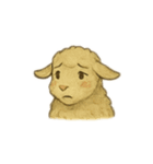 まいにち、どうぶつ。（個別スタンプ：24）