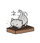 ネコのお仕事（個別スタンプ：8）