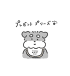 シュナウザースタンプ57（個別スタンプ：19）