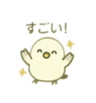 シマエナガちゃん☆4（個別スタンプ：19）