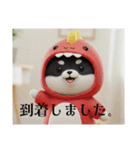 着ぐるみシリーズ豆柴クロチビです。（個別スタンプ：7）