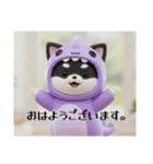 着ぐるみシリーズ豆柴クロチビです。（個別スタンプ：16）