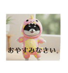 着ぐるみシリーズ豆柴クロチビです。（個別スタンプ：22）