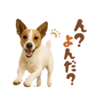 立ち耳！ジャックラッセルテリア（個別スタンプ：2）