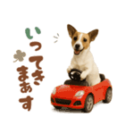 立ち耳！ジャックラッセルテリア（個別スタンプ：5）