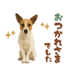 立ち耳！ジャックラッセルテリア（個別スタンプ：38）
