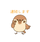 ゆるっと敬語♪スズメちゃん（個別スタンプ：15）