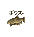 魚釣り（トラウト）（個別スタンプ：3）