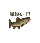 魚釣り（トラウト）（個別スタンプ：4）