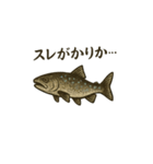魚釣り（トラウト）（個別スタンプ：6）