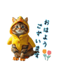 服を着たリアルな猫キャラ達のスタンプ3（個別スタンプ：1）