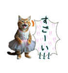 服を着たリアルな猫キャラ達のスタンプ3（個別スタンプ：13）