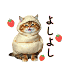 服を着たリアルな猫キャラ達のスタンプ3（個別スタンプ：31）