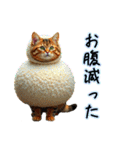 服を着たリアルな猫キャラ達のスタンプ3（個別スタンプ：37）