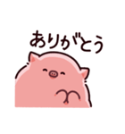 圧のぶた（個別スタンプ：5）