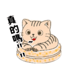 気持ち、いつでもぴったり伝える！（個別スタンプ：5）