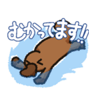 かものはしの日常01（個別スタンプ：6）