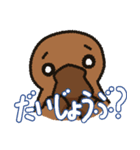 かものはしの日常01（個別スタンプ：7）