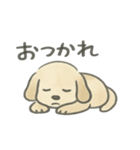 もふお犬（個別スタンプ：1）