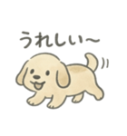 もふお犬（個別スタンプ：6）