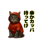 キジトラ みそちゃんのつぶやき（①）（個別スタンプ：4）