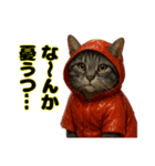 キジトラ みそちゃんのつぶやき（①）（個別スタンプ：8）