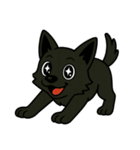 くろイッヌは多くを語らない[文字無しver.]（個別スタンプ：16）