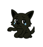 くろイッヌは多くを語らない[文字無しver.]（個別スタンプ：24）