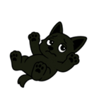 くろイッヌは多くを語らない[文字無しver.]（個別スタンプ：31）