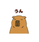 シュールな動物たち-了承・同意ver（個別スタンプ：1）