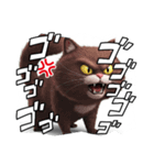 怒る猫405（個別スタンプ：5）