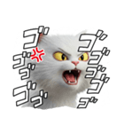 怒る猫405（個別スタンプ：8）