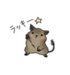 可愛いデグーの1日part2（個別スタンプ：12）