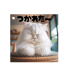 猫のしゃしんスタンプ（個別スタンプ：4）
