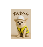 現場チワワ関西弁（個別スタンプ：1）