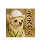 現場チワワ関西弁（個別スタンプ：3）