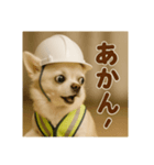 現場チワワ関西弁（個別スタンプ：4）