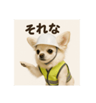 現場チワワ関西弁（個別スタンプ：6）