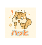 しまリスのゆるかわスタンプ（個別スタンプ：19）