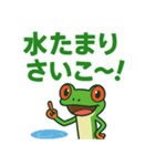 ぴょんぴょんアカメアマガエル（個別スタンプ：8）