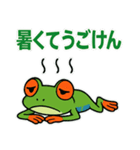 ぴょんぴょんアカメアマガエル（個別スタンプ：11）