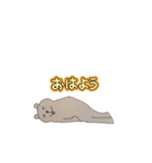 味わい深いくま（個別スタンプ：1）