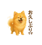 ポメラニアン なぎの挨拶（個別スタンプ：2）